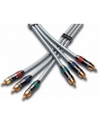 Component