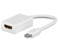 DisplayPort adapter
