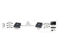DisplayPort / DP