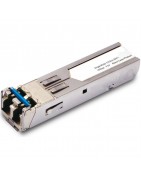 10 Gbit